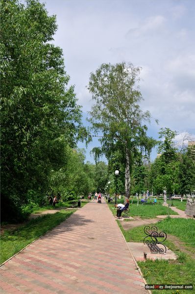 Файл:Вдоль пруда.jpg