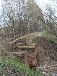 AL015-10.jpg