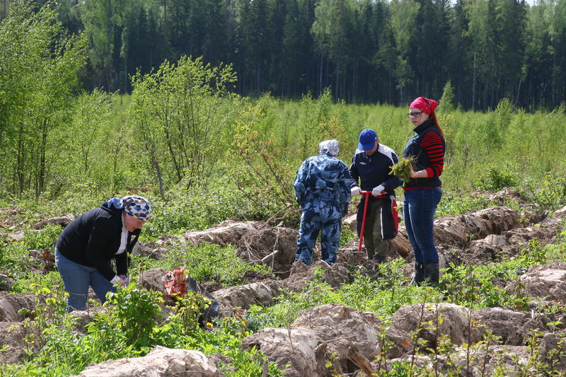 Файл:Bc9370831647fc16d599fe123d10e343.jpeg